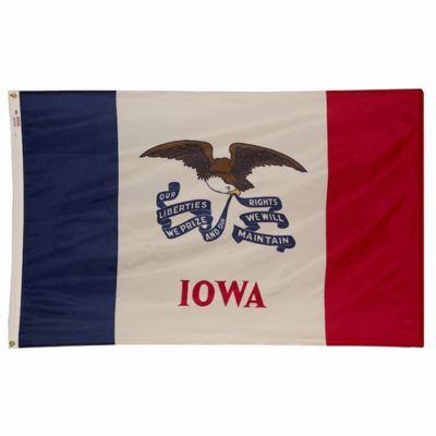 3x5 ft MICHIGAN Wolverine State OFFICIAL STATE FLAG Outdoor Nylon MADE IN USA