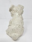 Foto 3 di 5