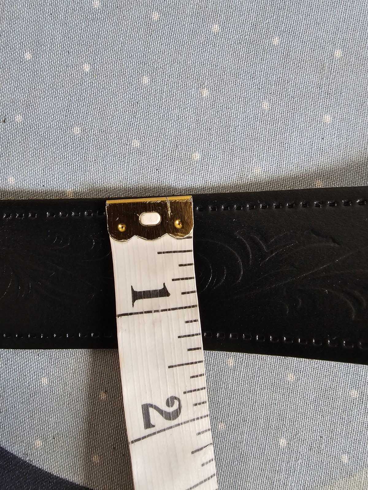 Picture 10 of 11