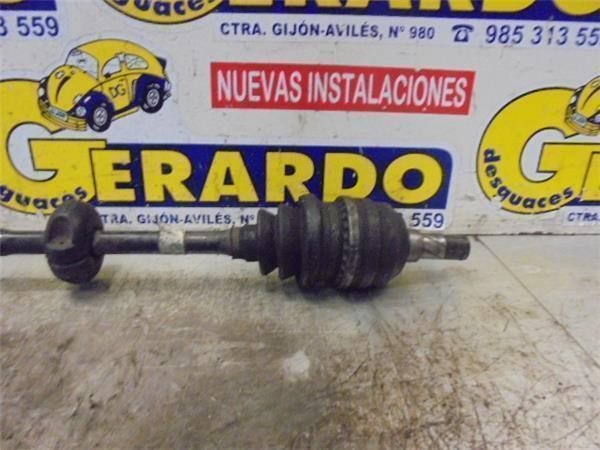 Imagen 3 de 3
