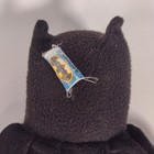 Foto 5 di 12