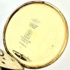 Foto 7 di 10
