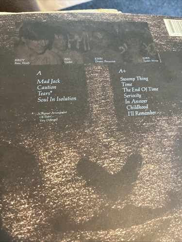 Strange Times / Bonus Album 2LP - The Chameleons UK 1986 - Foto 7 di 8