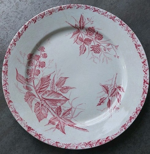 1 Assiette ancienne Badonviller Théophile Fénal Modèle MÛRE Rose 22.5 Diam
