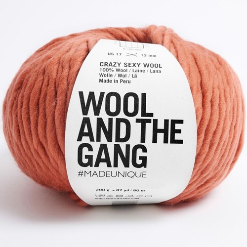 Knitting Crochet Yarn Wool and the Gang Crazy Sexy Wool Soft Chunky Merino - Picture 44 of 116