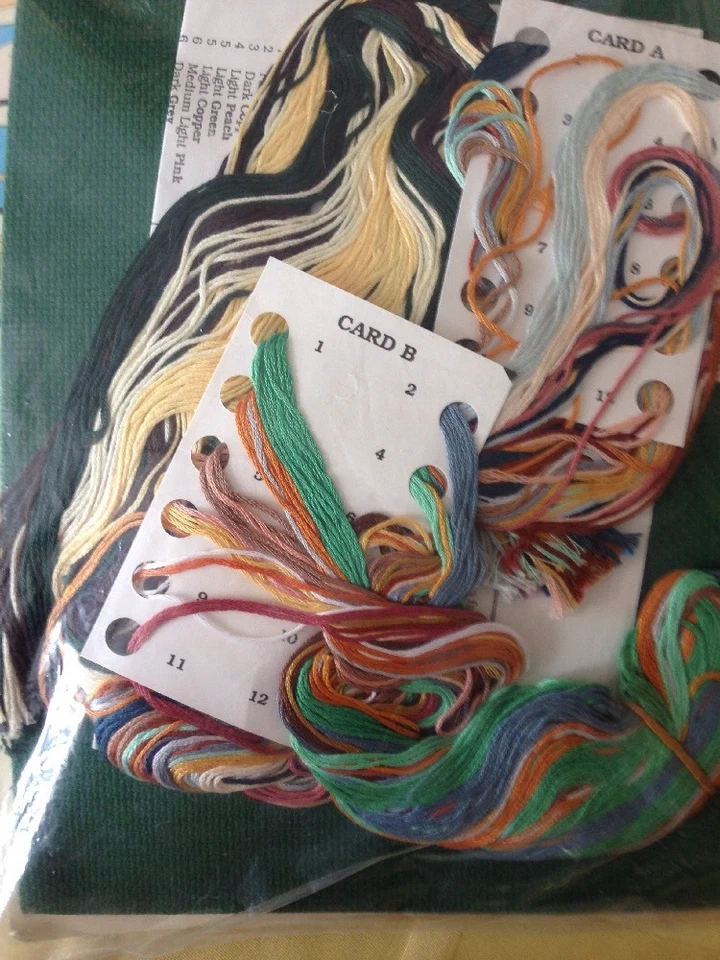 RARO MADRE TIERRA Kit Punto de Cruz Contado, Janlynn StitchWorld X Punto Sellado Foto 4 de 4