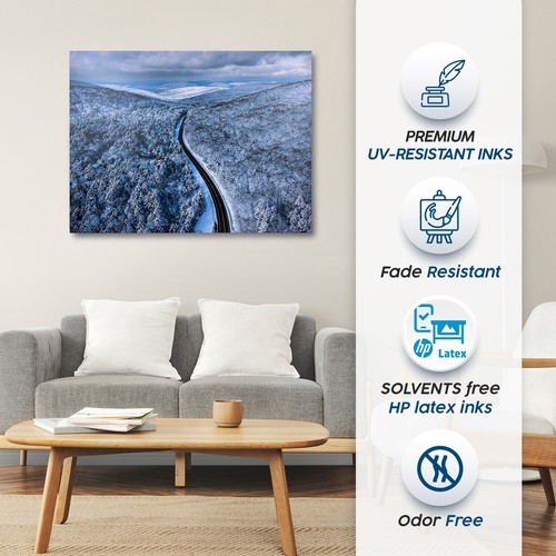 Large Modern Nature Canvas Art for Living Room, Bedroom, Dining Room 16 x 24 - Picture 4 of 7