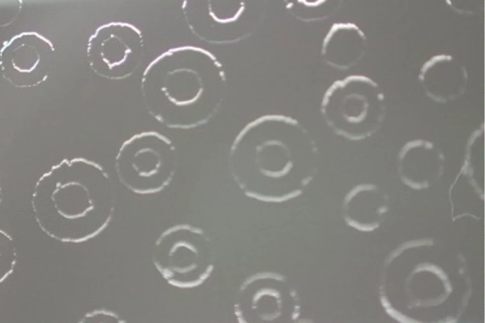 Hoya Creative Softener No0.5 Camera Lens Filter - Image 3 of 3