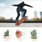 Afbeelding 10 van 12