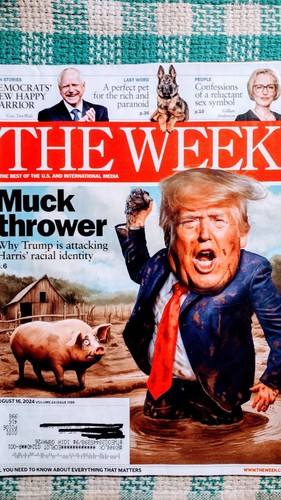 THE WEEK BEST OF INTERNATIONAL MEDIA MUCK THROWER 08/16/2024 - Picture 22 of 24