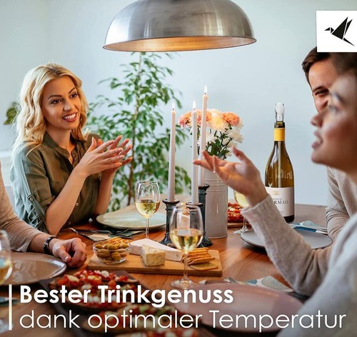 Weinkühlstab aus Edelstahl mit Ausgießer Weinkühler /zubehör Stab mit Dekanter - Bild 3 von 13