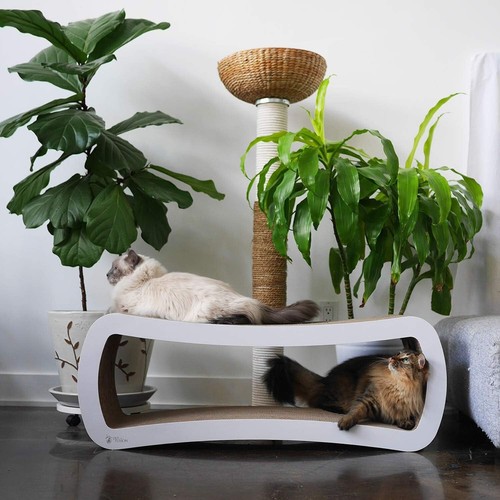 Recyclable Jumbo Cat Lounge - 39” Cat Scratcher & Play Space for Large Breeds - Picture 8 of 10