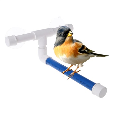 Shower Window Perch For Parrots And Birds, Medium/Large Bird Size - Picture 5 of 11