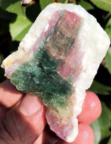84.5g Natural Watermelon Color Tourmaline Crystal Ice Transparent Specime ie1593 - Picture 5 of 12