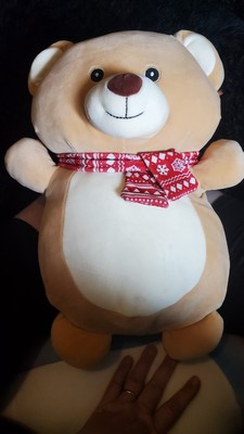 Squishmallow 14.5'' Hug Mees Bear