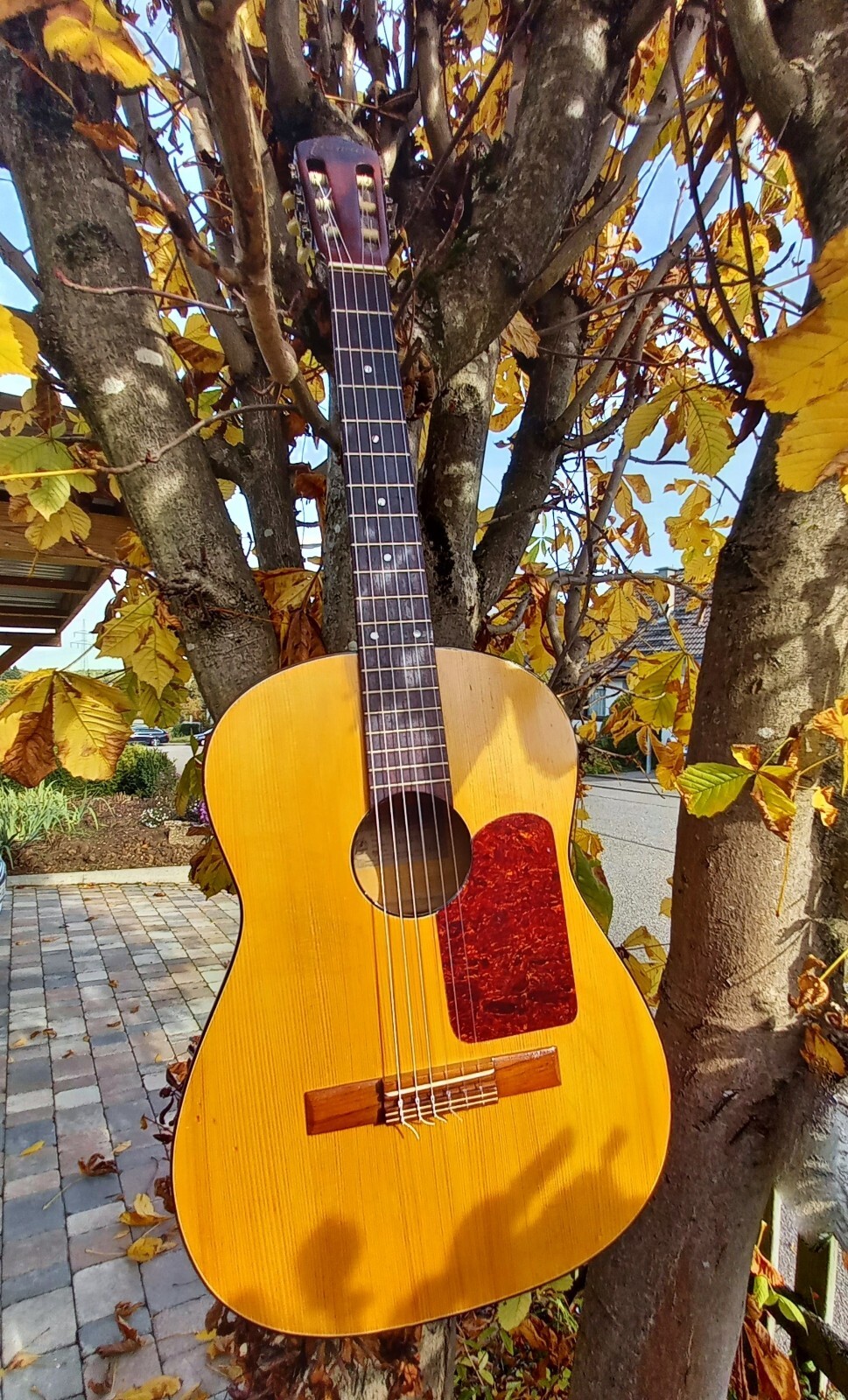 Vintage Guitar, Framus Classic, 1962, Rare, Good Condition, Old Guitar, - Picture 10 of 24