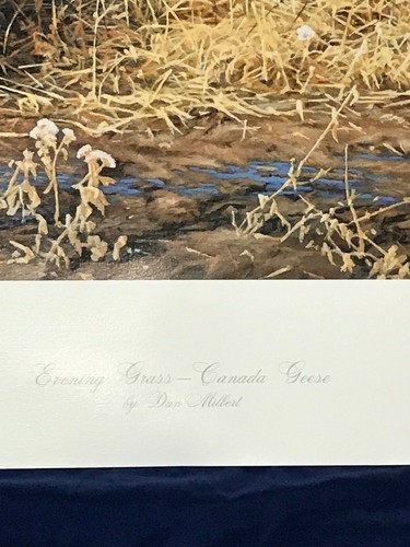HIERBA NOCTURNA GANSOS CANADÁ DAN MILBERT IMPRESIÓN ARTÍSTICA FIRMADA LITOGRAFÍA 1989 VIDA SILVESTRE - Imagen 6 de 7