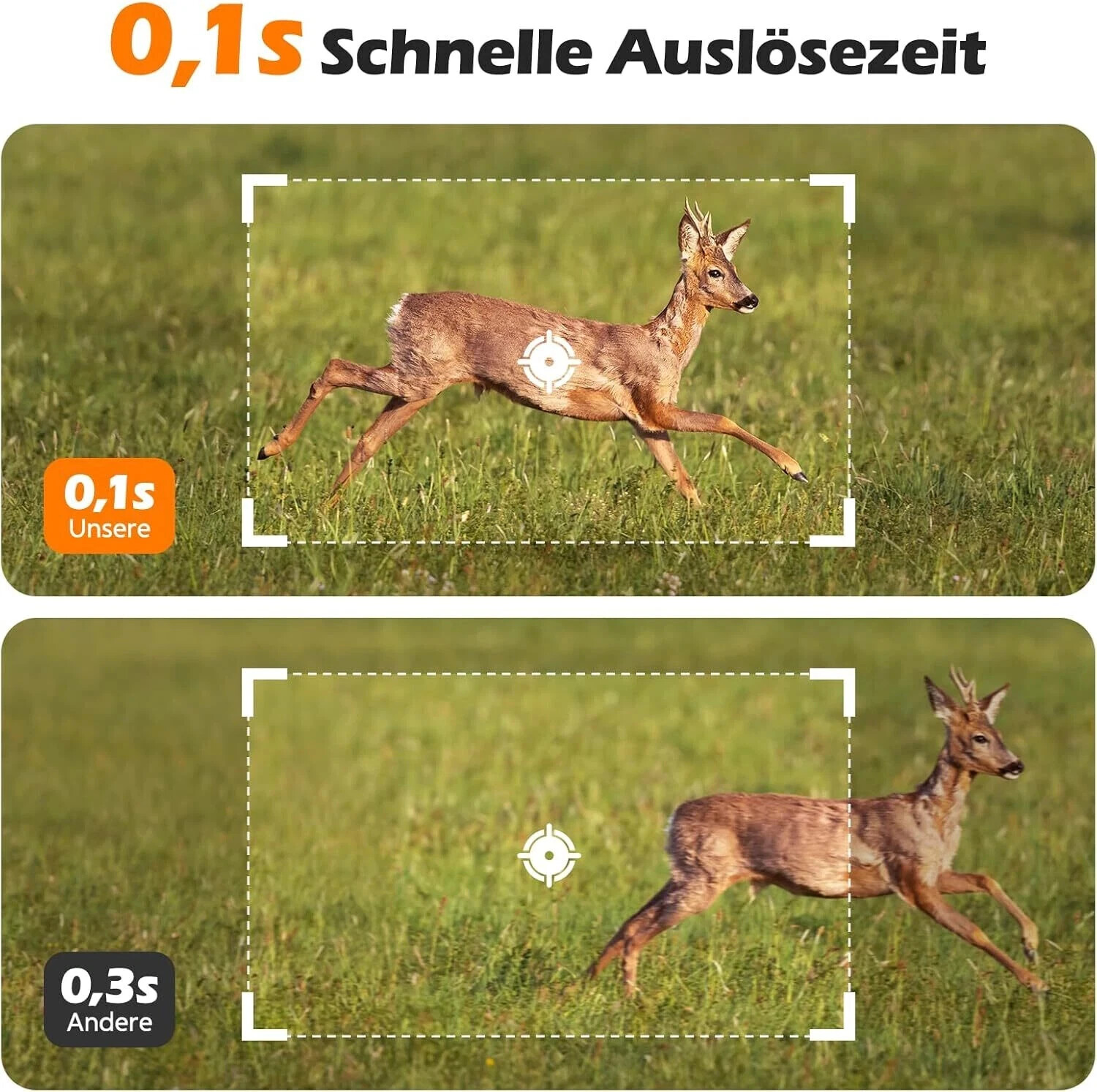 Bild 7 von 7