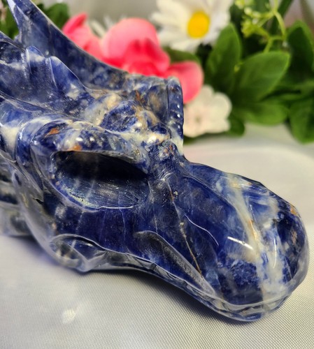 Grande Rara 5" 479g Bellissima Tramonto Sodalite Testa di Drago Teschio Cristallo Intaglio - Foto 8 di 23
