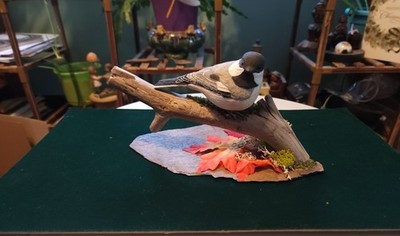 Original Hand Carved Hand Painted Chickadee Signed by Artist
