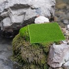 Bild 8 von 8