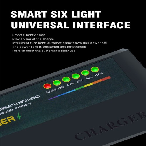 48V 60V 72V Smart Charger for 20Ah GEL AGM Liquid Lead Acid Batterys SDE - Picture 8 of 28