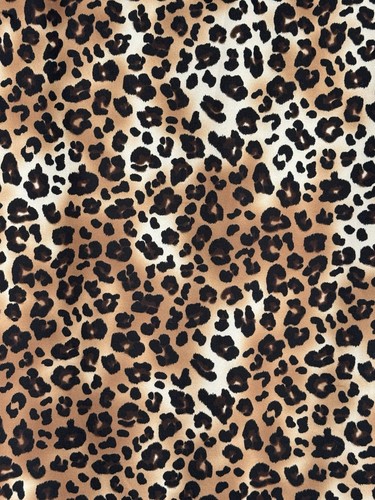 Masseys Leopard Print Skirt Straight Knee Length Elastic Waist Women's Sz M - Picture 2 of 5