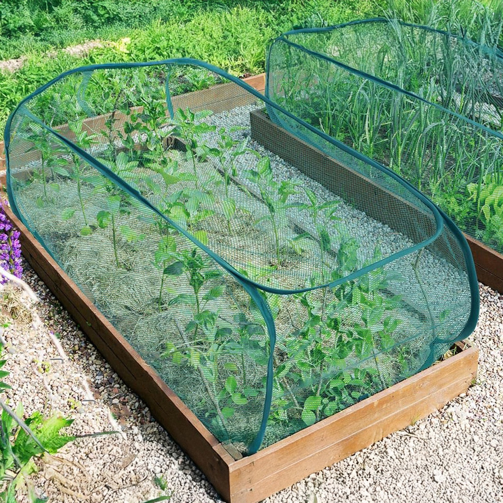 Picture 3 of 23
