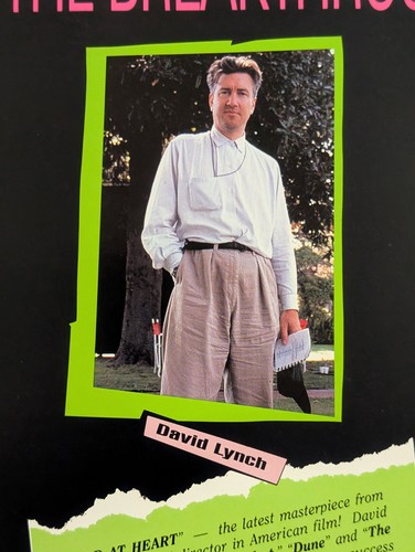 Wild At Heart Poster / Media Promo Brochure - Rare 1990 David Lynch Nicolas Cage - Bild 12 von 22