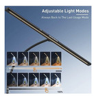 AmazLit Desk Lamp Eye-Caring Desk Light Gooseneck Lamp with Clamp Adjustable ...