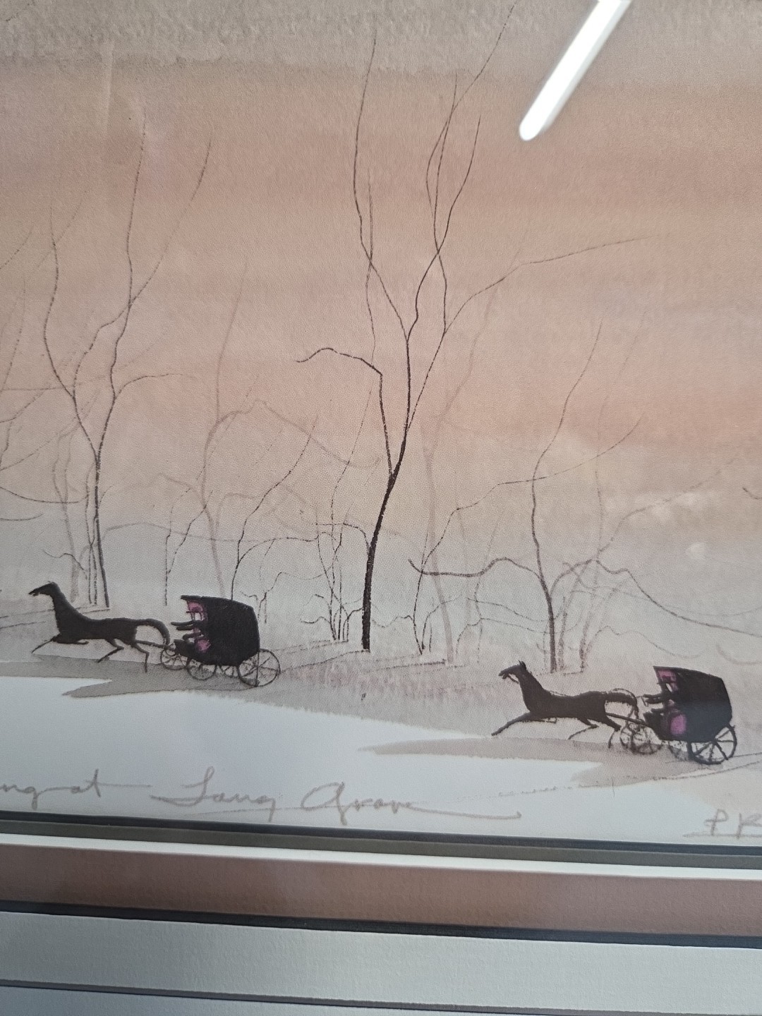 Picture 5 of 14