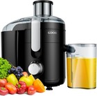 Juicer with Titanium Enhanced Cut Disc Dual Speeds Centrifugal Extractor Machine