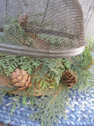 Kleine echte antike Drahtgeflecht Shoofly Lebensmittel Abdeckung Bildschirm Holz Knopf 6-3/4" Durchmesser - Bild 3 von 9