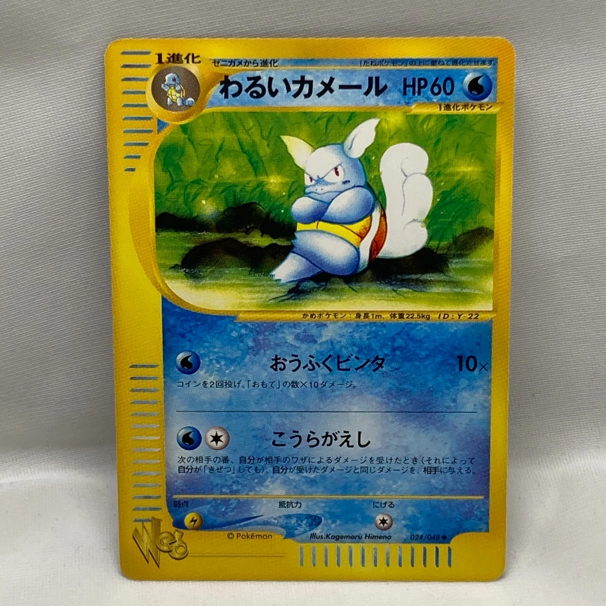 Dark Wartortle 024/048 Pokemon Web for sale | eBay