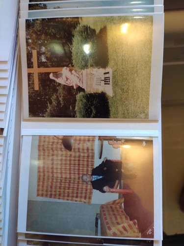 Nearly 400 Family Photos Christmas Buildings Football Found In Michigan Hummel's - Picture 5 of 24