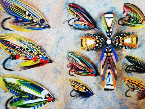 Rare and Unusual Fly Tying Materials: A Natural History, Volume 2--Birds and... - Picture 5 of 8