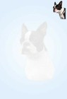 Boston Terrier Novelties