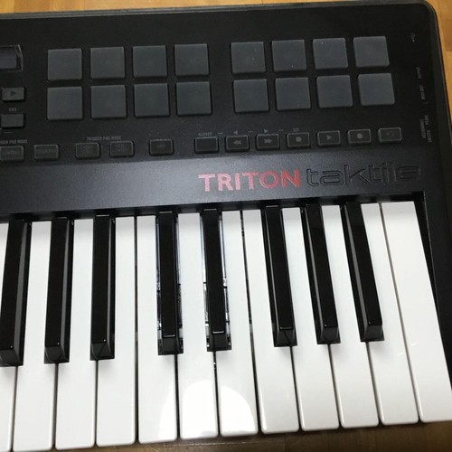 Controller sintetizzatore tattile KORG Triton usato dal Giappone spedizione gratuita - Foto 4 di 5