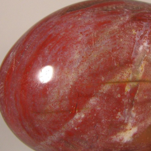 2.4" PETRIFIED WOOD Polished Palm Stone - Madagascar - Imagen 5 de 10