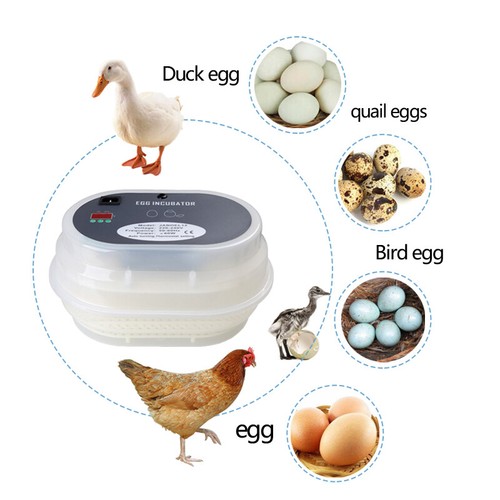 Janoel 12 Egg Incubator Fully Automatic Chicken Poultry Duck Quail Egg Hatcher eBay
