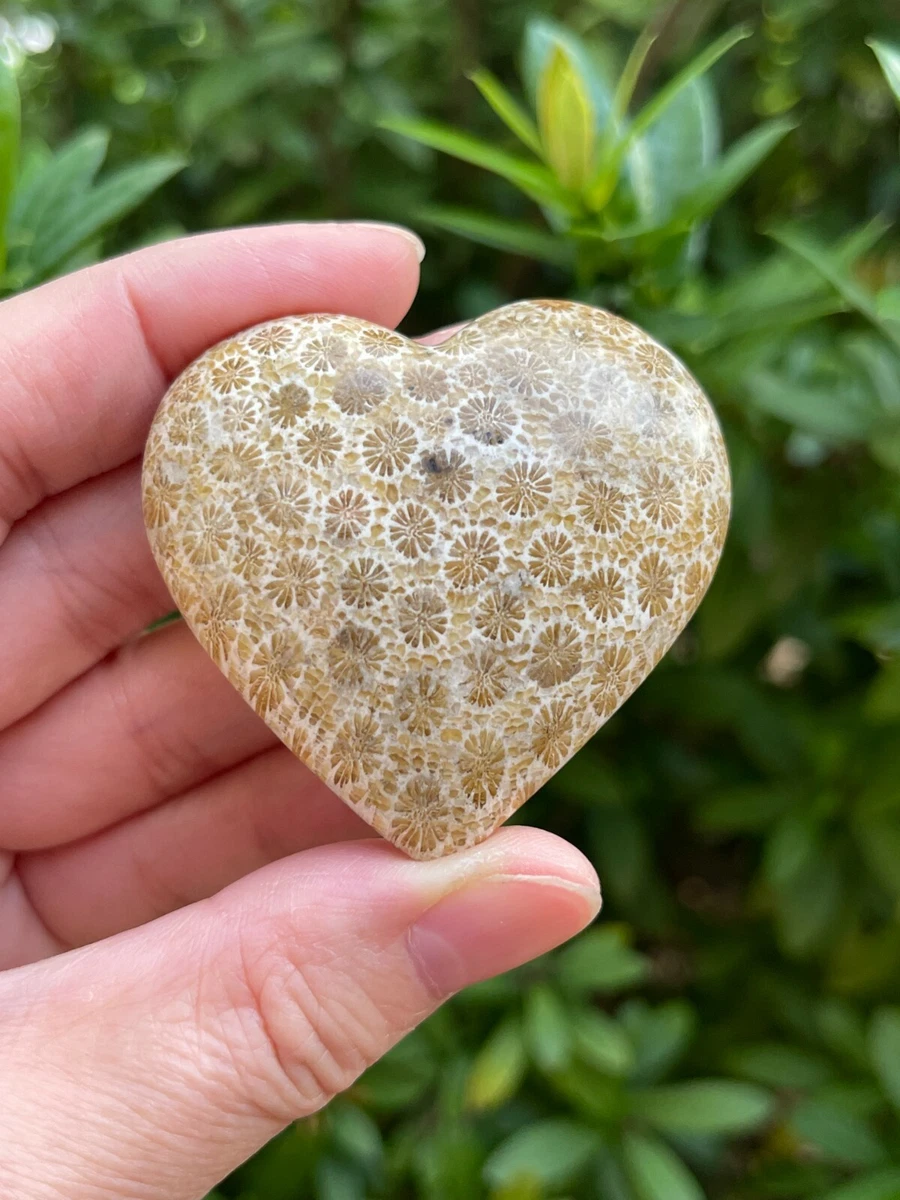 Fossil heart cheap