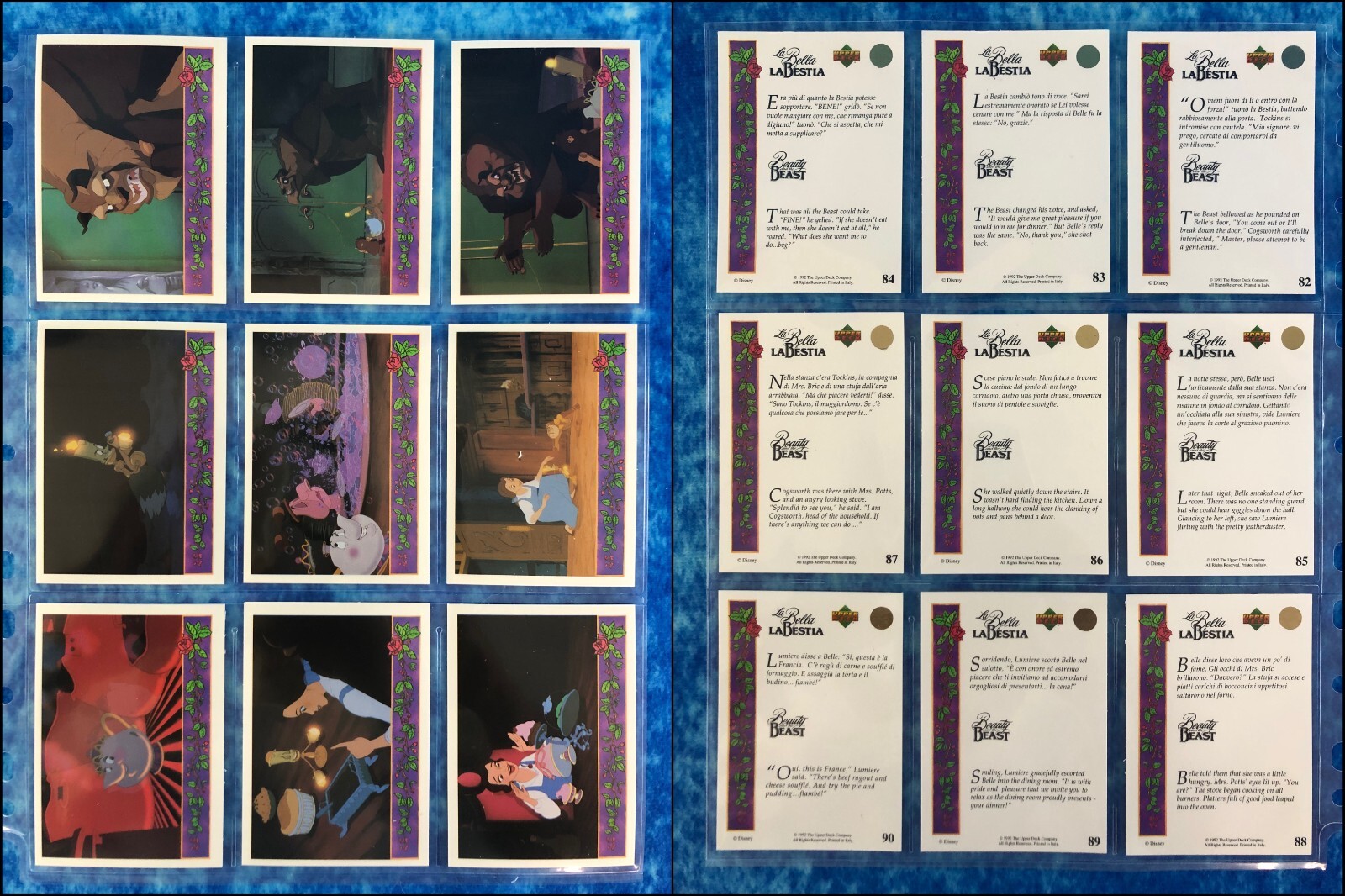 Picture 11 of 23
