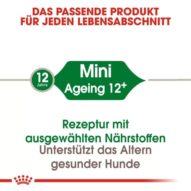 Bild 5 von 5