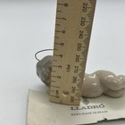 Picture 16 of 17