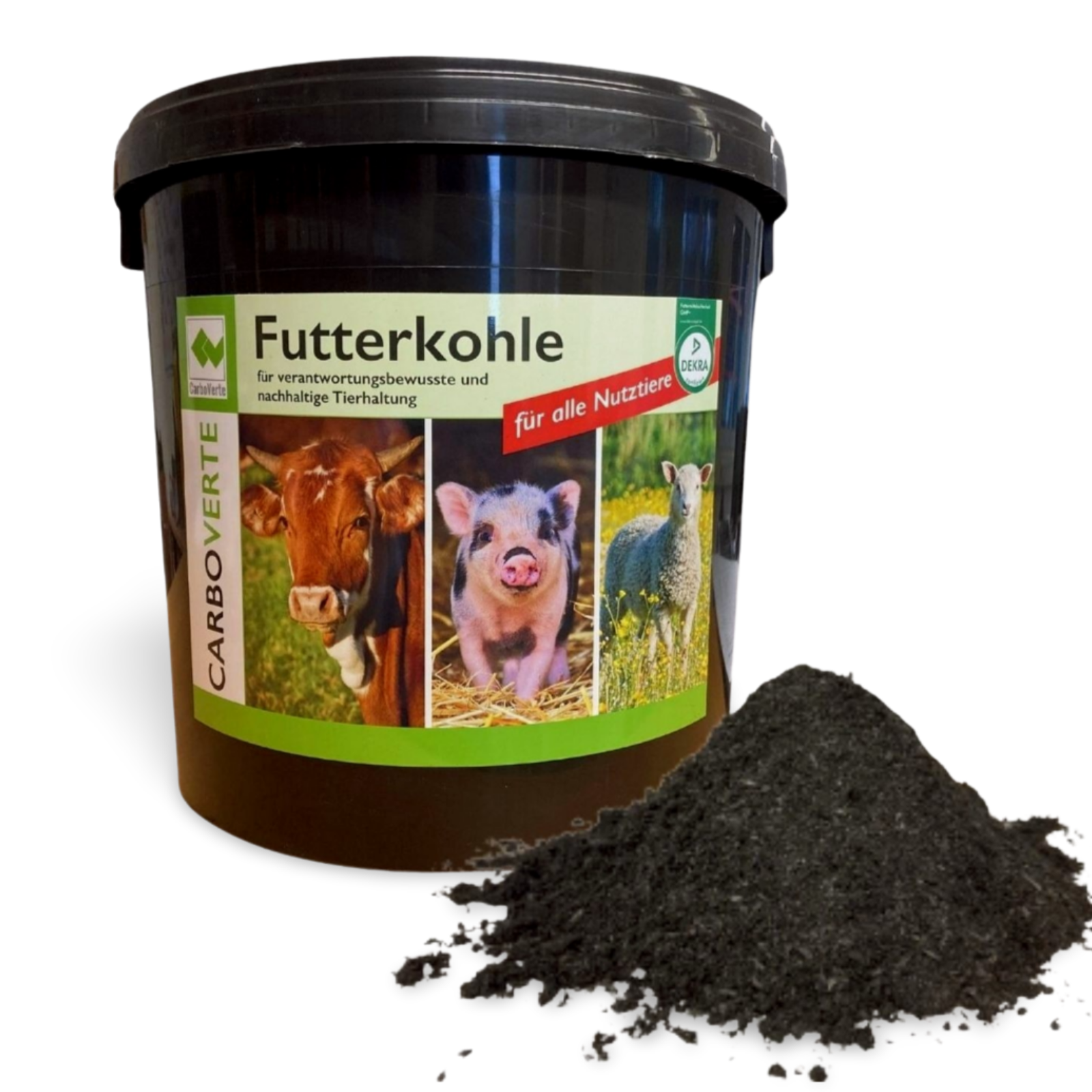 Bild 1 von 9