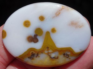 Mw-POLKA-DOT-AGATE-Oregon-51x37mm-Oval-Cabochon-85cts