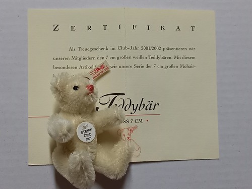 Steiff Teddybär weiss Clubgeschenk 2001 /2002 mit OVP und Zertifikat - Bild 3 von 5