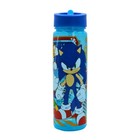 NEW Sonic The Hedgehog Knuckles Miles Tails Prower Water Bottle Straw 600ml 🦔✨