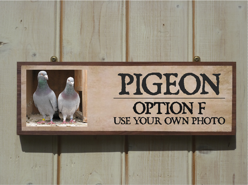 Handgefertigtes Bestellschild Taube Loftschild Eigenname Schild Taubenschild Eigenfotoschild - Bild 15 von 16