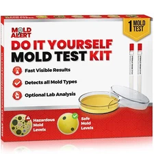 DIY at Home Mold Test Kit with Self-Analysis Guide